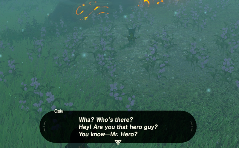 Illustration for article titled The Worst Mission In The Legend Of Zelda: Breath of the Wild